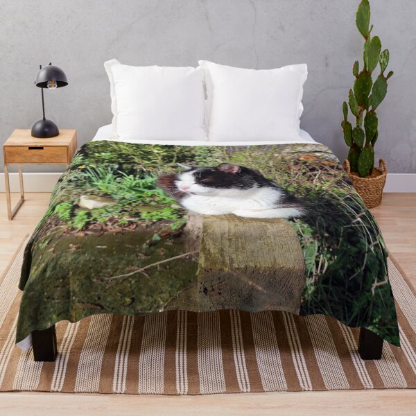 Item preview, Gato en viga designed and sold by Gourmetkater.