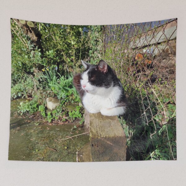 Item preview, cat on beam designed and sold by Gourmetkater.
