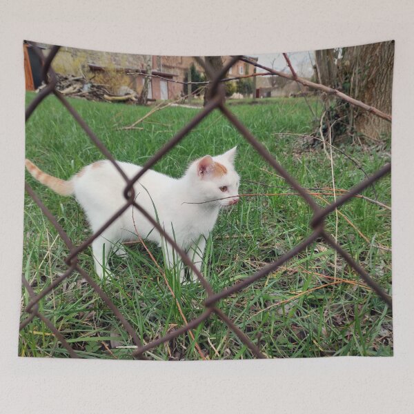 Item preview, White cat on lawn designed and sold by Gourmetkater.