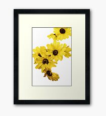 A Bunch of Yellow Framed Print