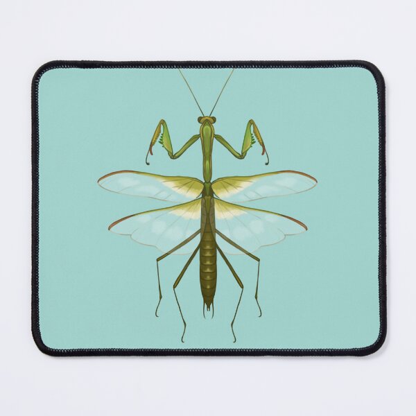 Item preview, Mantis Diorama designed and sold by TermiteSwarm.