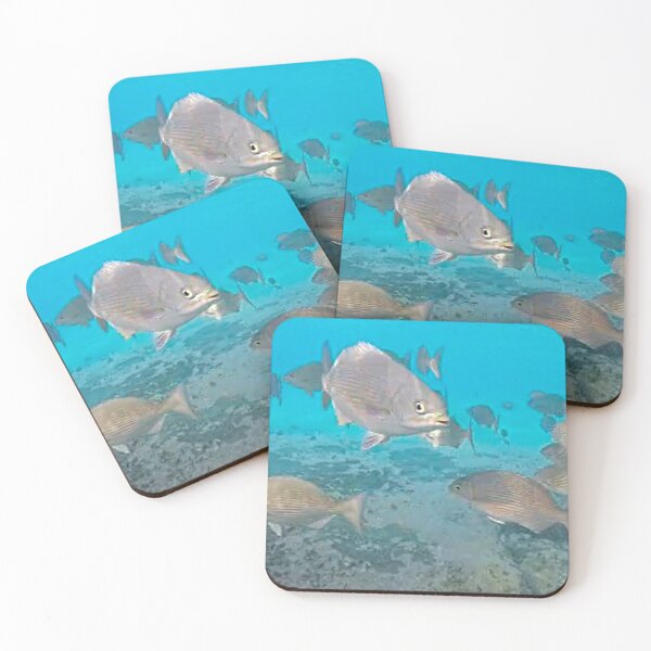 Item preview, dls fish-1 designed and sold by pcfyi.