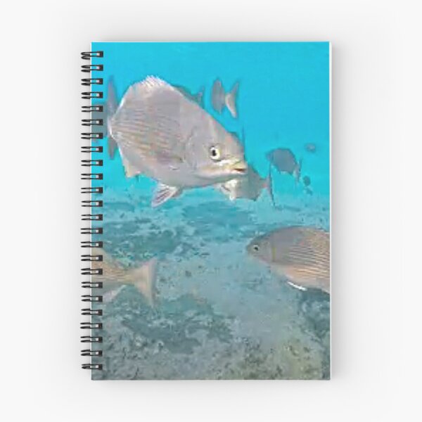 Item preview, dls fish-1 designed and sold by pcfyi.