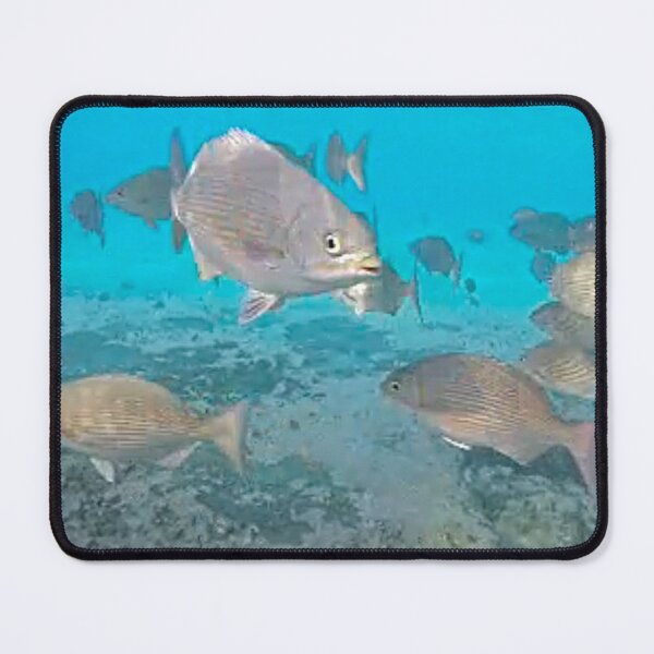 Item preview, dls fish-1 designed and sold by pcfyi.