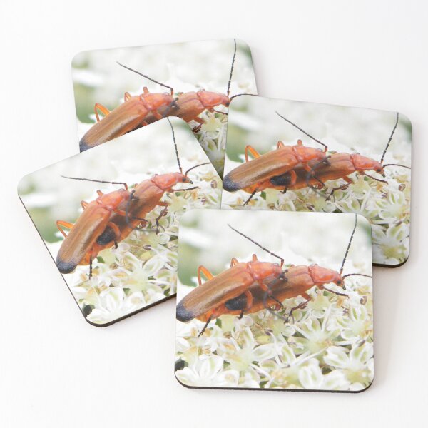 Item preview, Common Red Soldier Beetles mating designed and sold by Paws and Ink Art.
