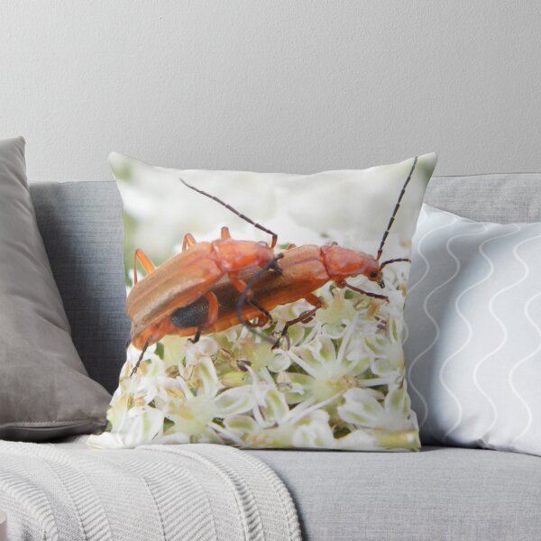 Item preview, Common Red Soldier Beetles mating designed and sold by Paws and Ink Art.