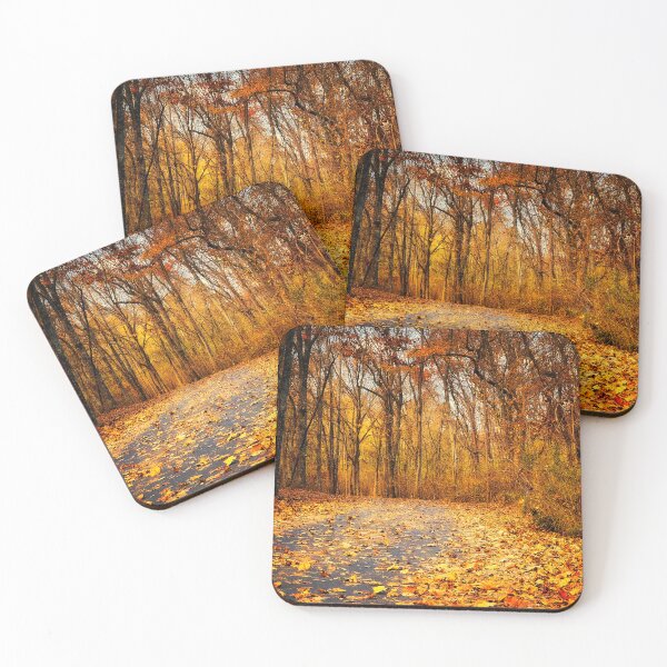 Item preview, Fallen Leaves Autumn Country Road photograph designed and sold by art64.