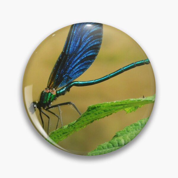 Item preview, Metallic Banded Demoiselle Damselfly designed and sold by Paws and Ink Art.