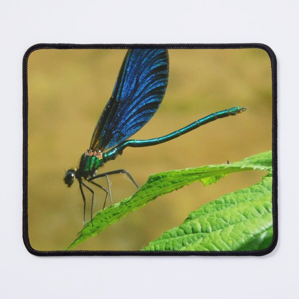 Item preview, Metallic Banded Demoiselle Damselfly designed and sold by Paws and Ink Art.