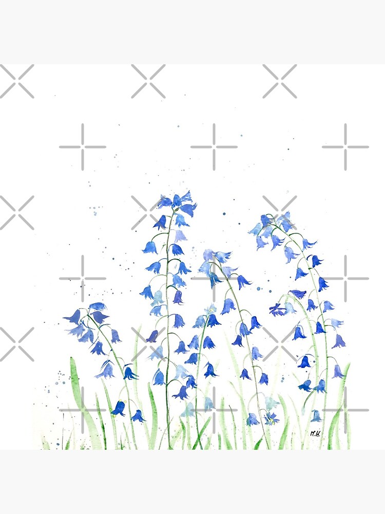 Bluebells flowers watercolours by cameronka1