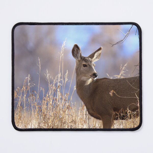 Item preview, Mule Deer In The Woods designed and sold by FreelanceJim.