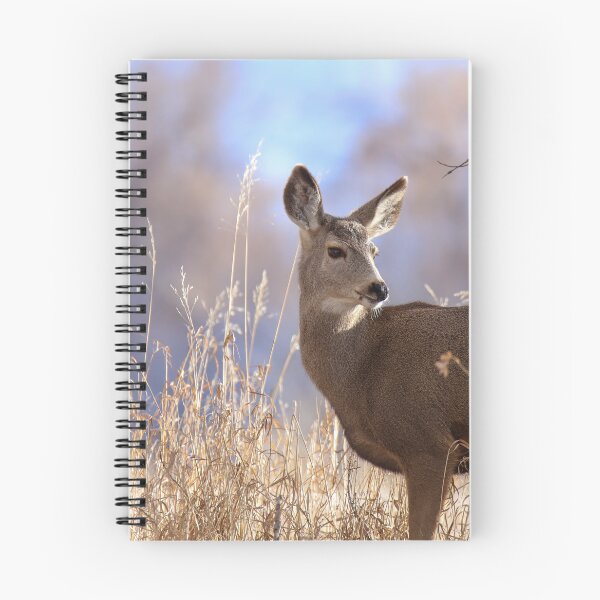Item preview, Mule Deer In The Woods designed and sold by FreelanceJim.