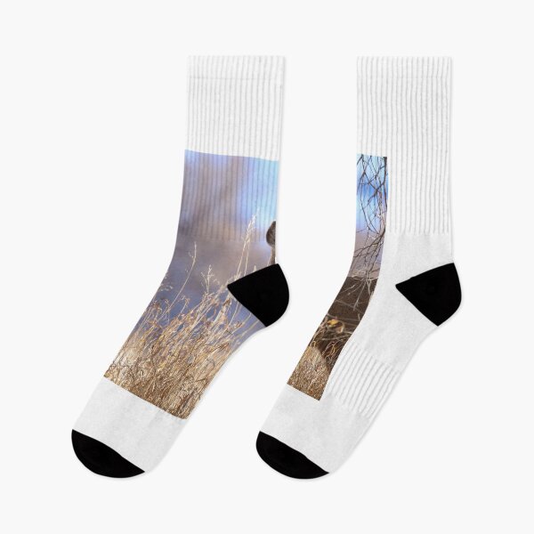 Item preview, Mule Deer In The Woods designed and sold by FreelanceJim.