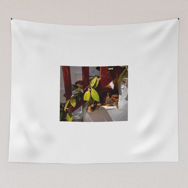 Item preview, Sleeping Cat in Greece designed and sold by bounassik.