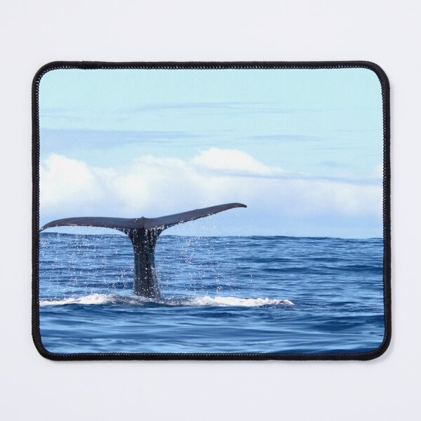 Item preview, Image with focus on whale fin designed and sold by Katja LebenFreude.