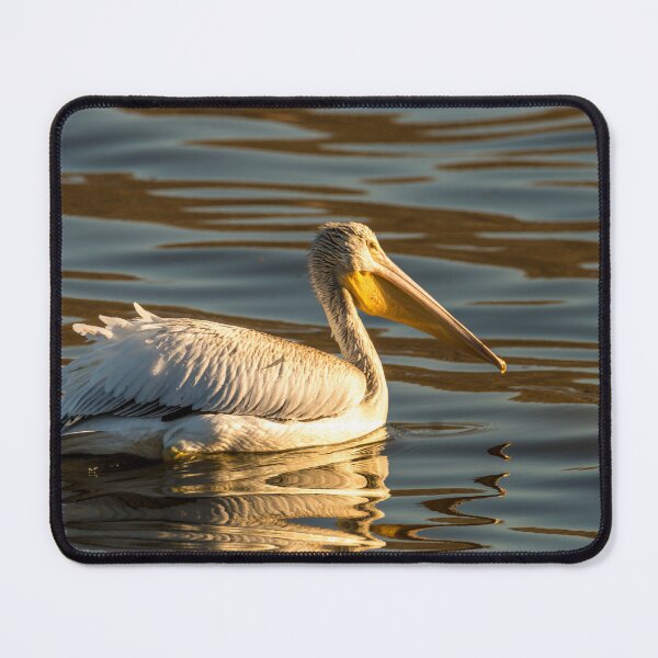 Item preview, Beautiful Pelican and Rippled Reflections designed and sold by Debra Martz.