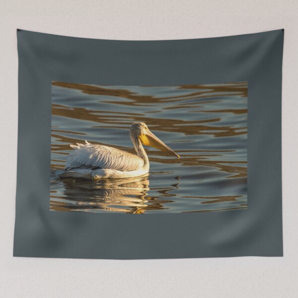 Item preview, Beautiful Pelican and Rippled Reflections  designed and sold by Debra Martz.