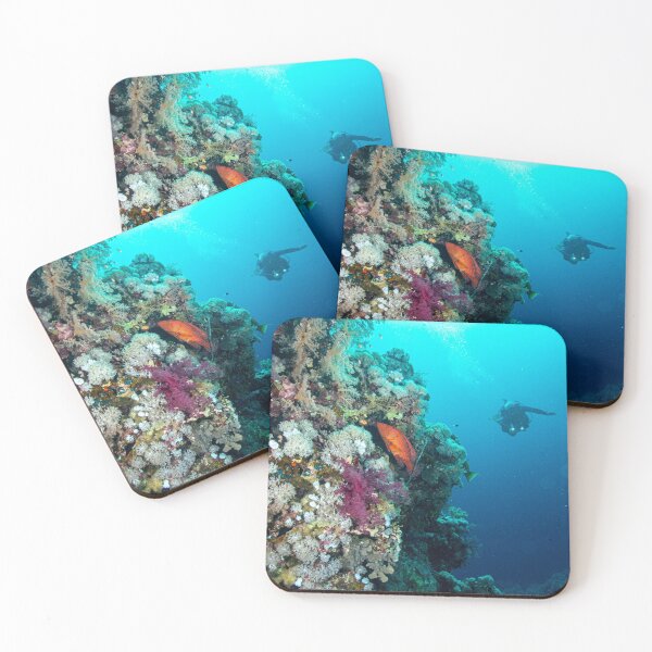 Item preview, Diving the Wall in the Red Sea with a Grouper designed and sold by Pitter Patter Diving.