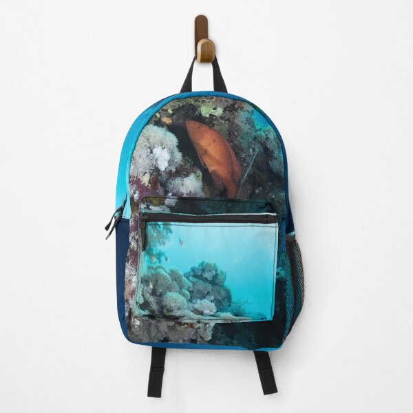 Item preview, Diving the Wall in the Red Sea with a Grouper designed and sold by Pitter Patter Diving.