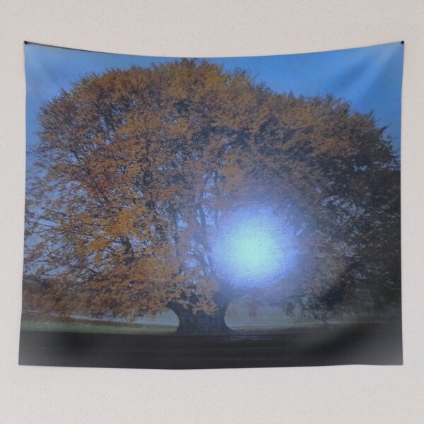 Item preview, ECO PHOTOGRAPH DESIGN  designed and sold by Tobyhuckels1991.