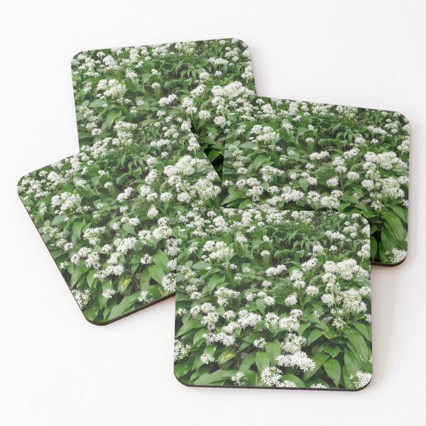 Item preview, Wild garlic designed and sold by paulboizot.