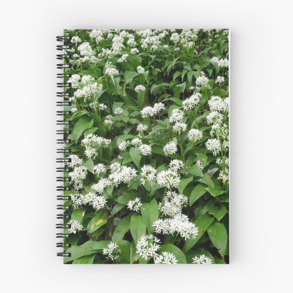 Item preview, Wild garlic designed and sold by paulboizot.