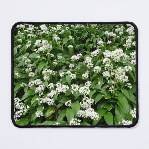 Item preview, Wild garlic designed and sold by paulboizot.