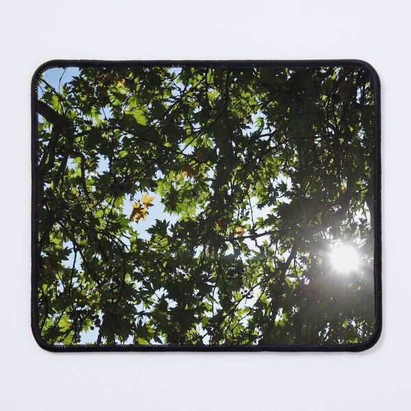 Item preview, Backlit plane tree, Kefalonia designed and sold by paulboizot.
