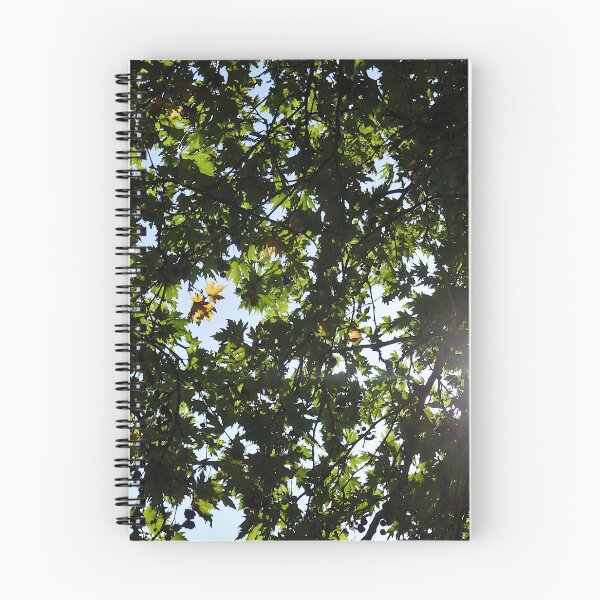 Item preview, Backlit plane tree, Kefalonia designed and sold by paulboizot.