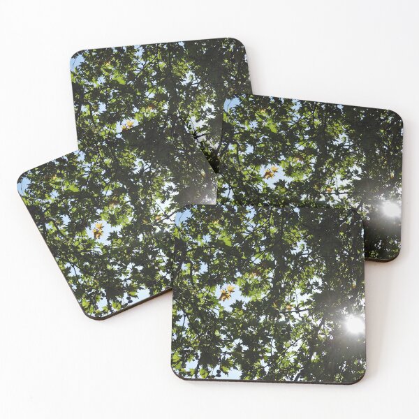 Item preview, Backlit plane tree, Kefalonia designed and sold by paulboizot.