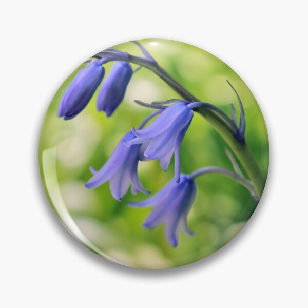 Item preview, Bluebells designed and sold by pinkal.