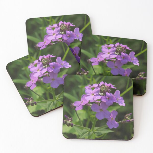 Item preview, Bright Colorful Violets Surrounded by Greenery designed and sold by CountyKent.