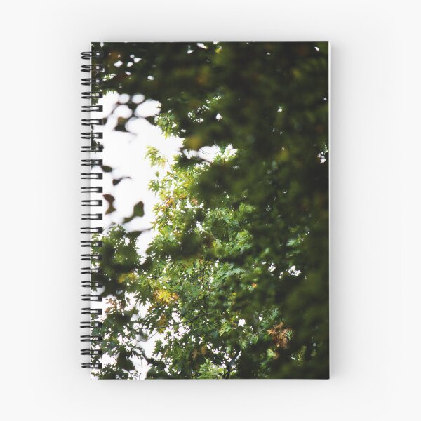 Item preview, canopy of leaves in the soft autumn light designed and sold by rhosbahu.