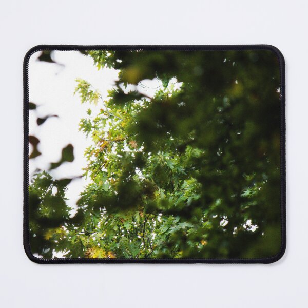 Item preview, canopy of leaves in the soft autumn light designed and sold by rhosbahu.