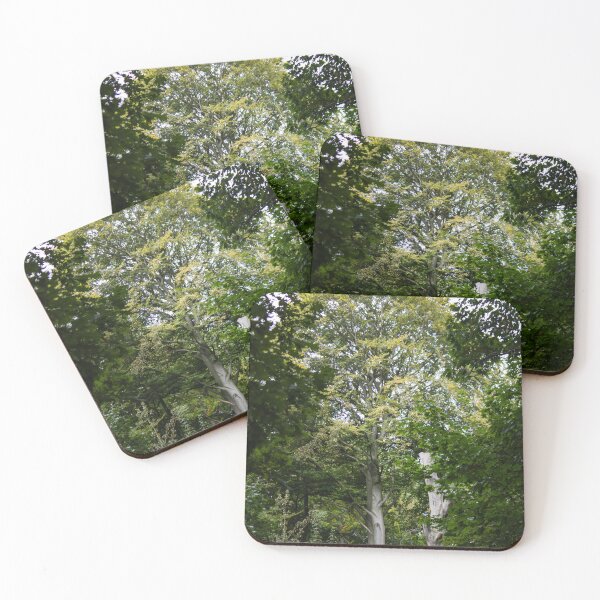 Item preview, Majestic treetop in the forest designed and sold by rhosbahu.
