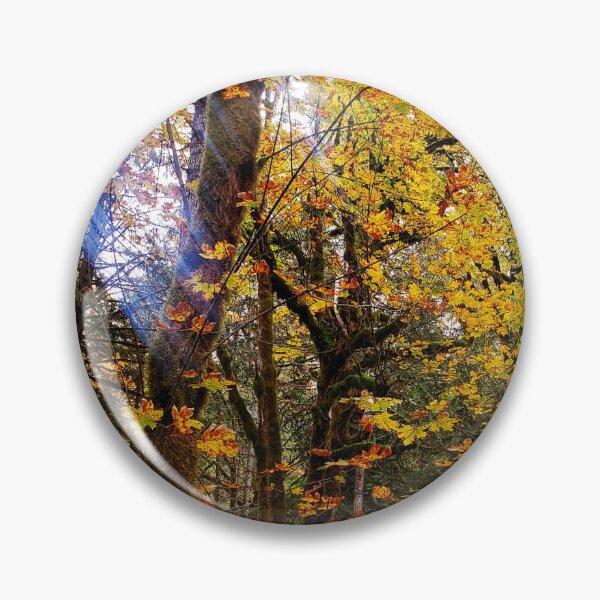Item preview, BC Forest Photograph with Vintage Vibe designed and sold by DandelionTee.