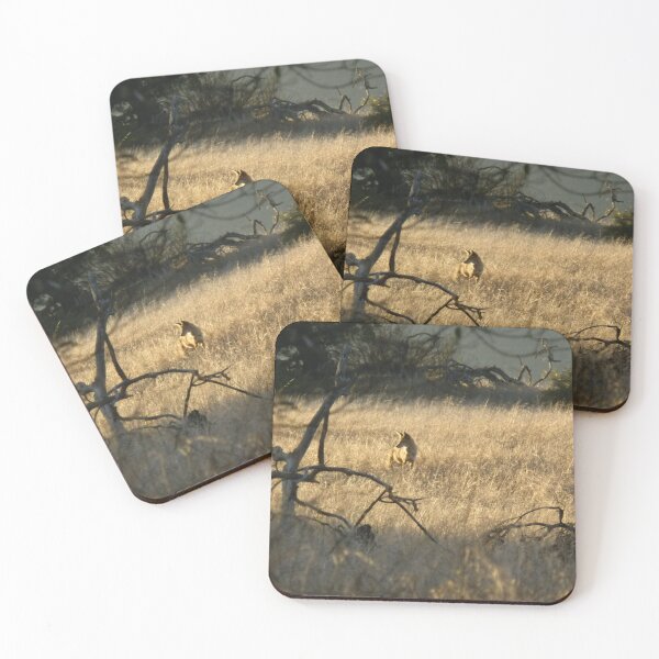 Item preview, Golden Light designed and sold by Robert Ball.