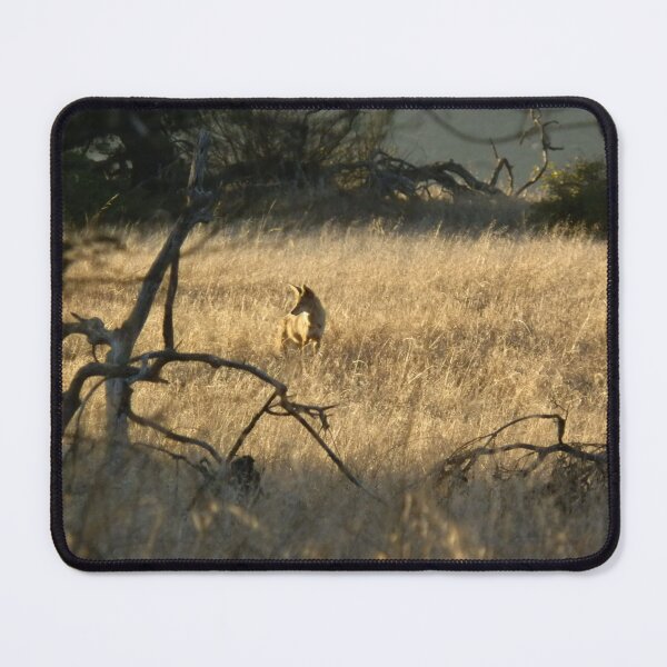 Item preview, Golden Light designed and sold by Robert Ball.