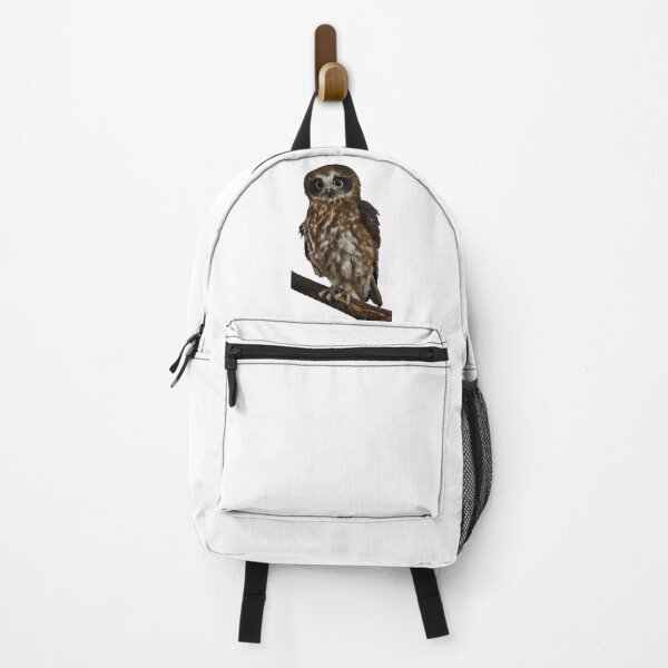 Item preview, Teapot the Boobook Owl designed and sold by Murrindindi Ranges Wildlife Shelter .