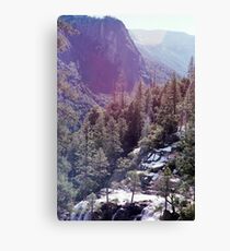 Yosemite Nature Canvas Print