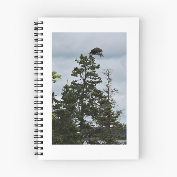 Item preview, In Flight designed and sold by Melissa Glabay.