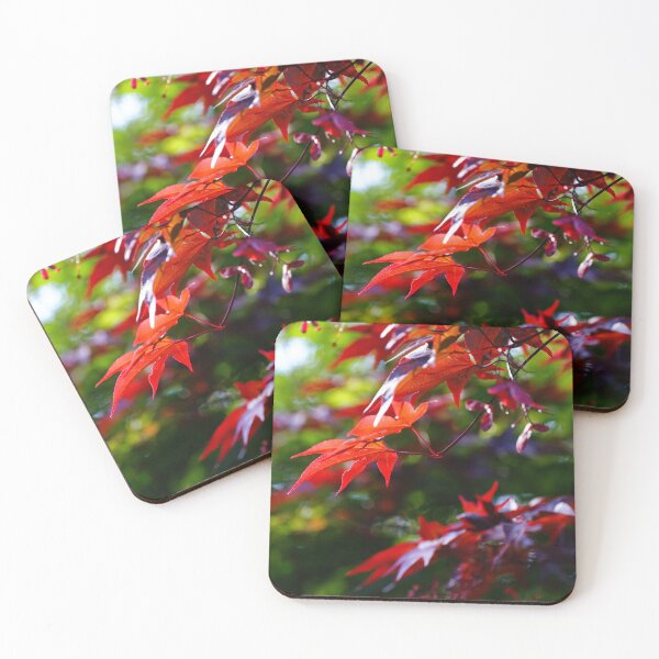 Item preview, Maples in my uncles garden designed and sold by KimberleyRenee.