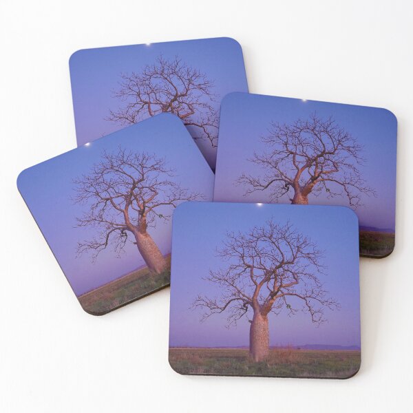 Item preview, Boab in the fading sunset designed and sold by KimberleyRenee.