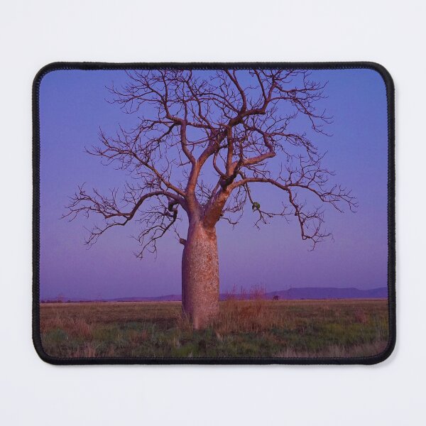 Item preview, Boab in the fading sunset designed and sold by KimberleyRenee.