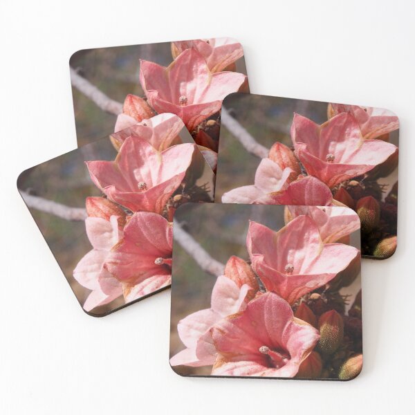 Item preview, Sticky Kurrajong designed and sold by KimberleyRenee.