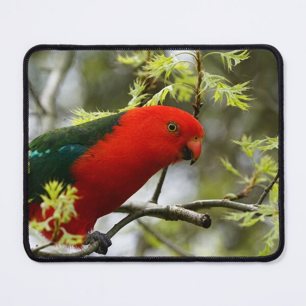 Item preview, This is my good side designed and sold by KimberleyRenee.