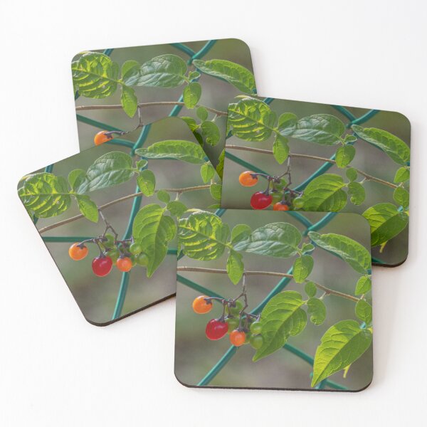 Item preview, Nightshade Ripening on a metal Fence designed and sold by Gerda Grice Photography.