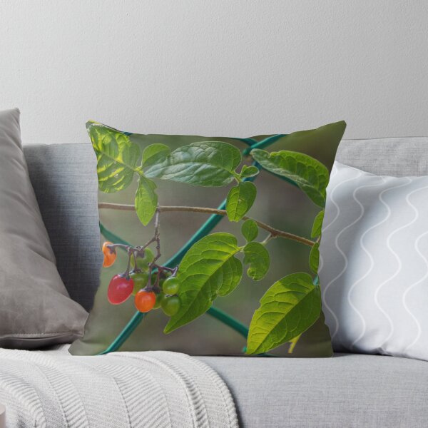 Item preview, Nightshade Ripening on a metal Fence designed and sold by Gerda Grice Photography.
