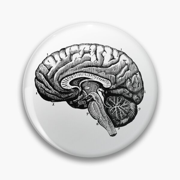 Item preview, Vintage Brain designed and sold by saraheden1221.