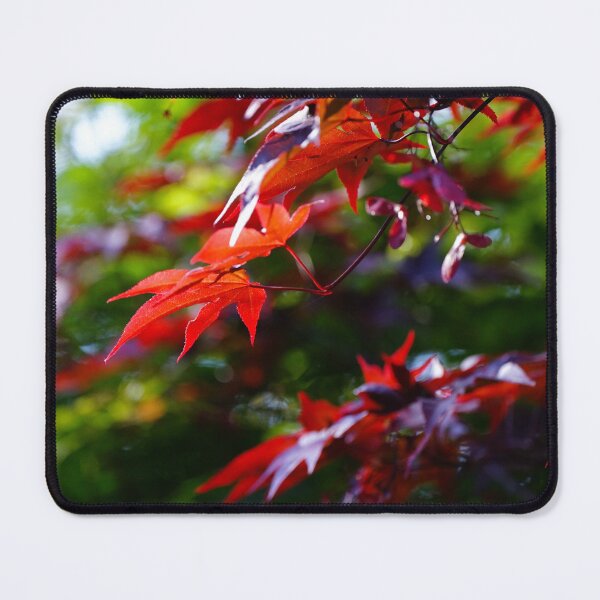 Item preview, Maples in my uncles garden designed and sold by KimberleyRenee.